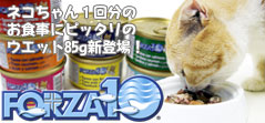 FORZA10���ե���ĥ��ǥ����� ���ƥʥ� ����åȥ����åȥա���85g