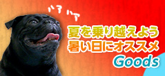 �Ƥν뤵�к�����
