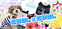 cool x cool