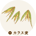 からす麦