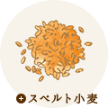 キクイモ