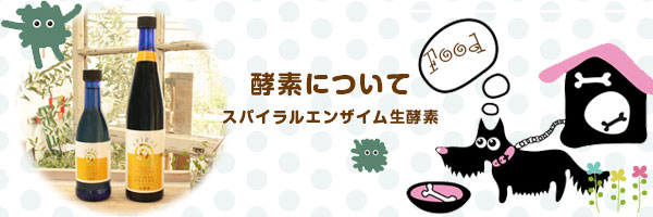 ���ǤˤĤ��ơʥ��ѥ���륨�󥶥��������ǡ�