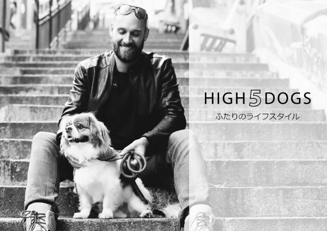 8701円 正式的 サイズ:S レザーバックルハーネス HIGH5DOGS ハイファイブドッグス 上質 革 便利 エレガント ペット用品 ペットグッズ 犬用品 胴輪 小型犬 中型犬