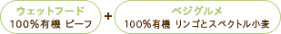 プレイアーデン