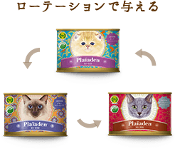 プレイアーデン