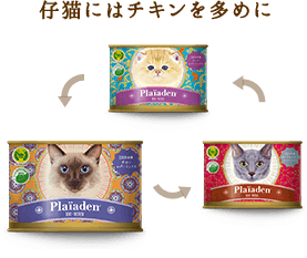 プレイアーデン
