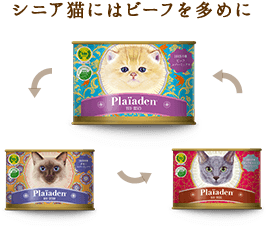 プレイアーデン