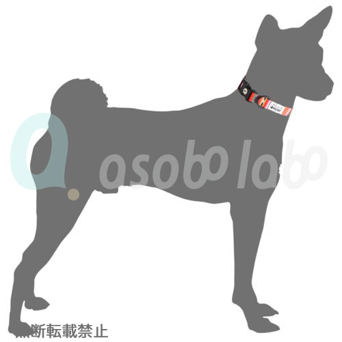 Mサイズ