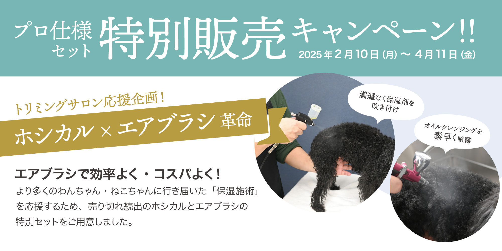 ホシカル×エアブラシ プロ仕様セット 特別販売キャンペーン