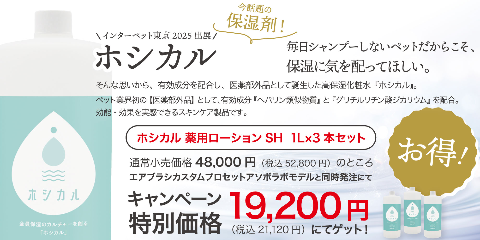 ホシカル×エアブラシ プロ仕様セット 特別販売キャンペーン