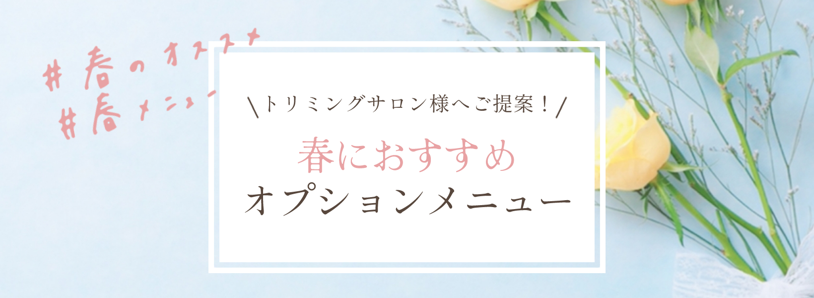 春におすすめオプションメニュー