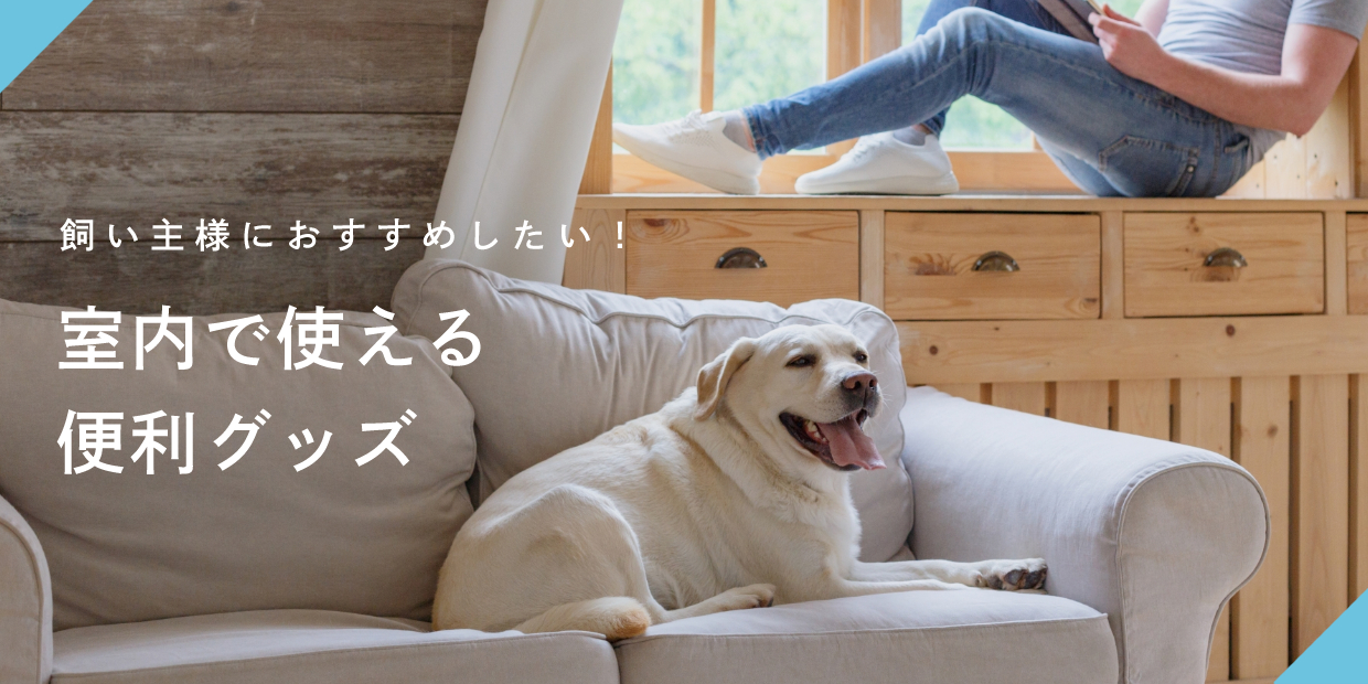 飼い主様におすすめしたい 室内で使える便利グッズ Asobolabo カタログサイト ペット 事業のコンサルティング 業務用トリミング用品卸し トリミングサロン開業 ペットショップ様の商品卸しなどペット事業に特化