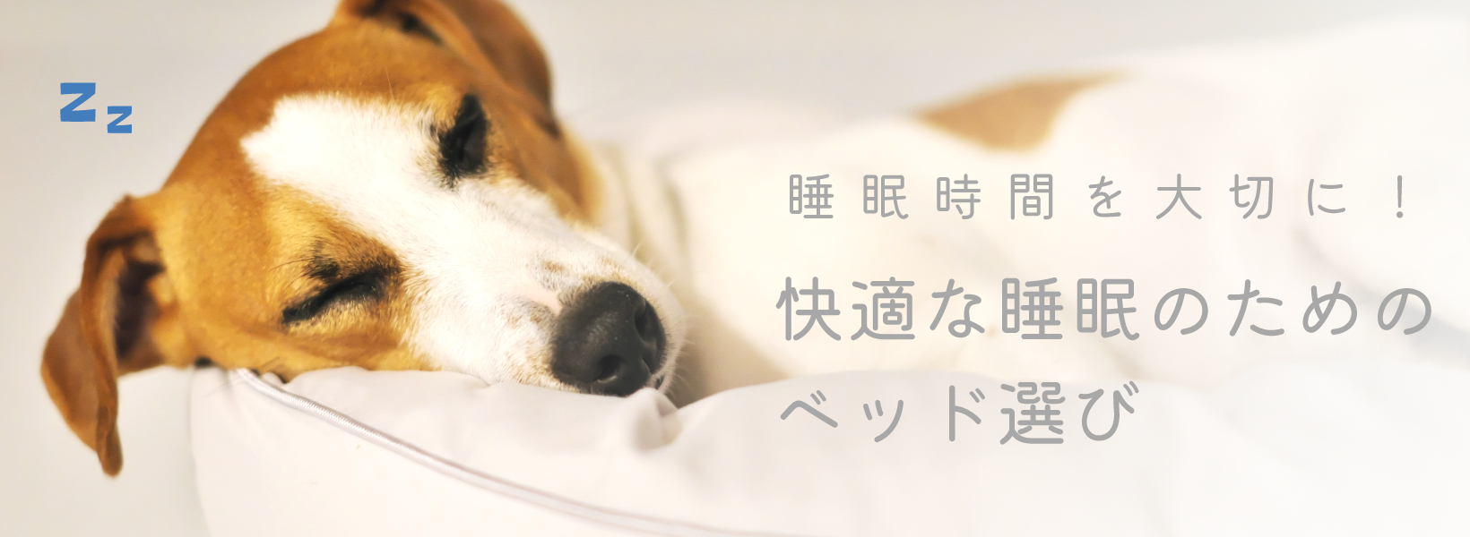 Petit de T】万力付きアーム棒（標準リード紐付）[プティ・デ・ティ] - AsoboLabo カタログサイト（ペット事業のコンサルティング、業務 用トリミング用品卸し、トリミングサロン開業、ペットショップ様の商品卸しなどペット事業に特化）