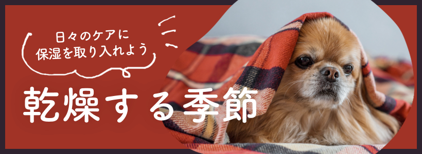 礹뵨