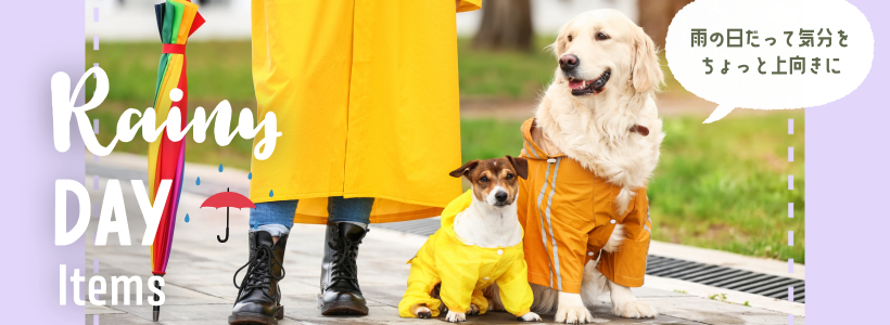 Rainy Day ItemsäƵʬäȾˡ