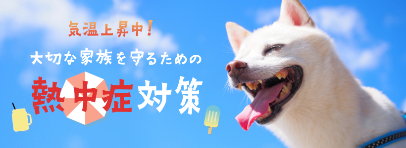 徺桪ڤʲ²뤿Ǯк
