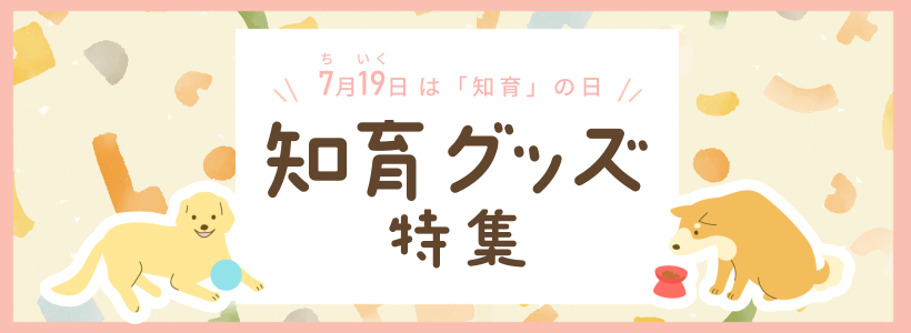 ʣˤʣˤΰ饰åý