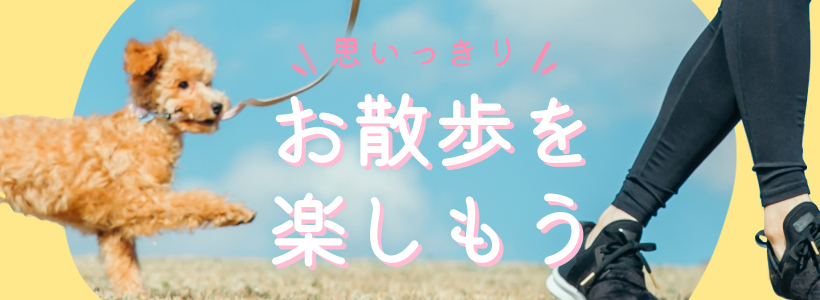פäꤪڤ⤦