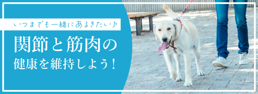 いつまでも一緒にあるきたい♪
