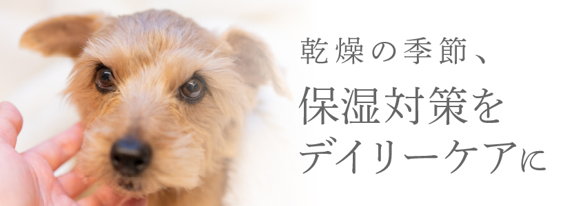 乾燥の季節、保湿対策をデイリーケアに★