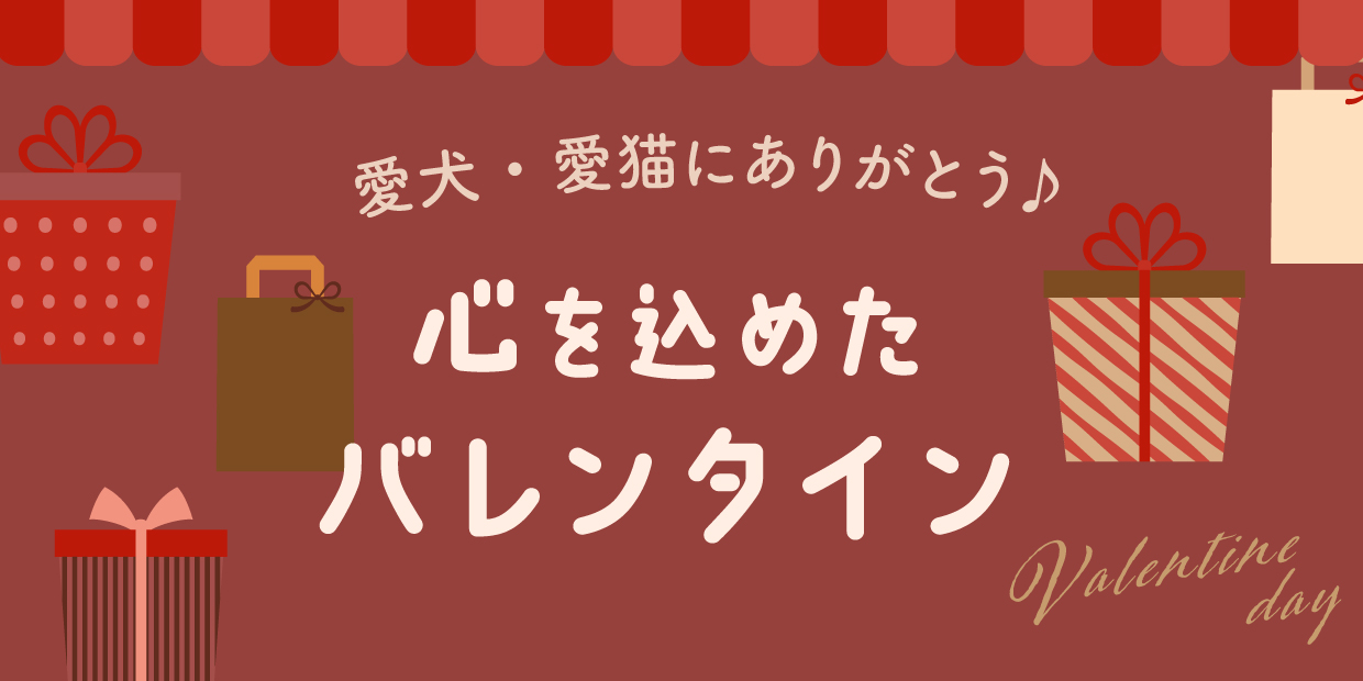 愛犬・愛猫にありがとう♪心を込めたバレンタイン