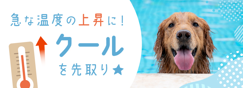 急な温度の上昇に！クールを先取り♪