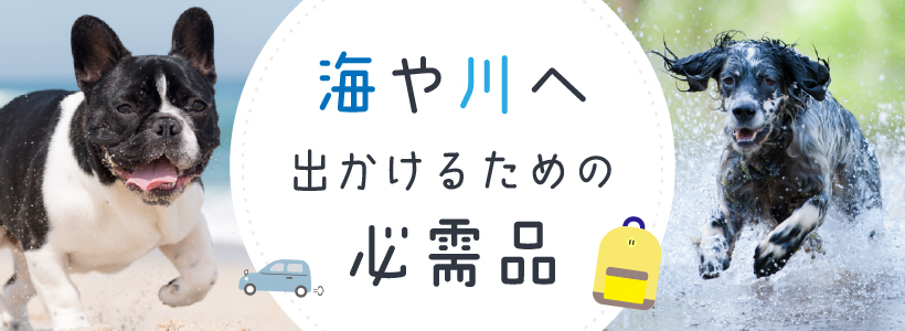 海や川へ出かけるための必需品