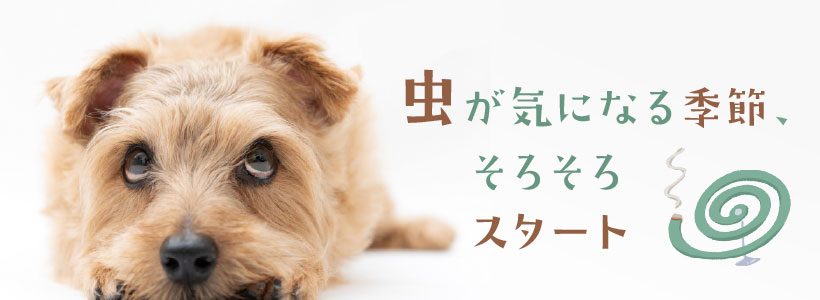 ˤʤ뵨ᡢ