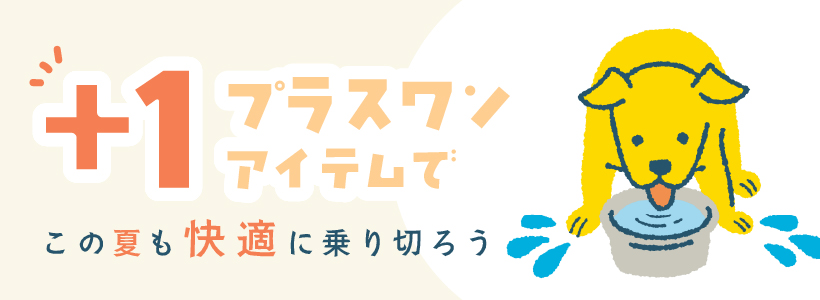 ＋１アイテムでこの夏も快適に乗り切ろう