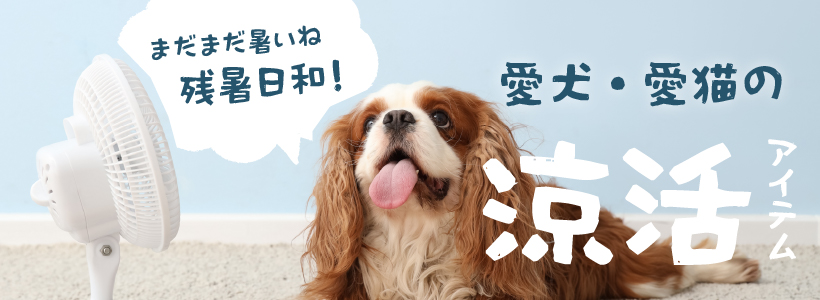 まだまだ暑いね残暑日和！愛犬・愛猫の涼活アイテム