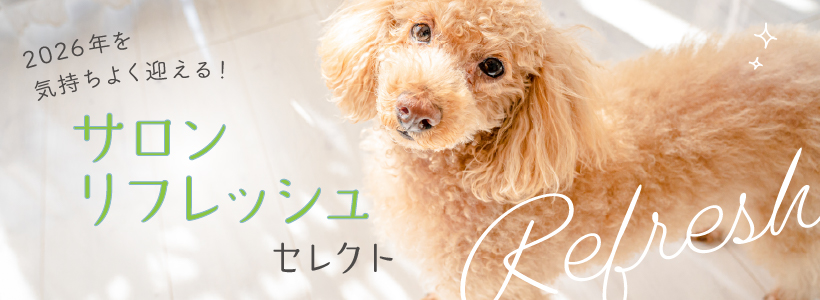 2026ǯ򵤻褯ޤ롪 եå奻쥯