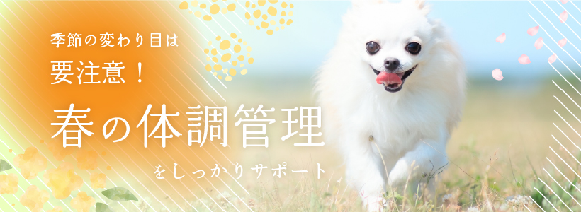 ������Ѥ���ܤ������ա��դ���Ĵ�����򤷤ä��ꥵ�ݡ���