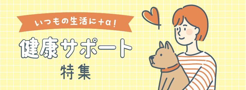 ���Ĥ�������+�����򹯥��ݡ����ý�