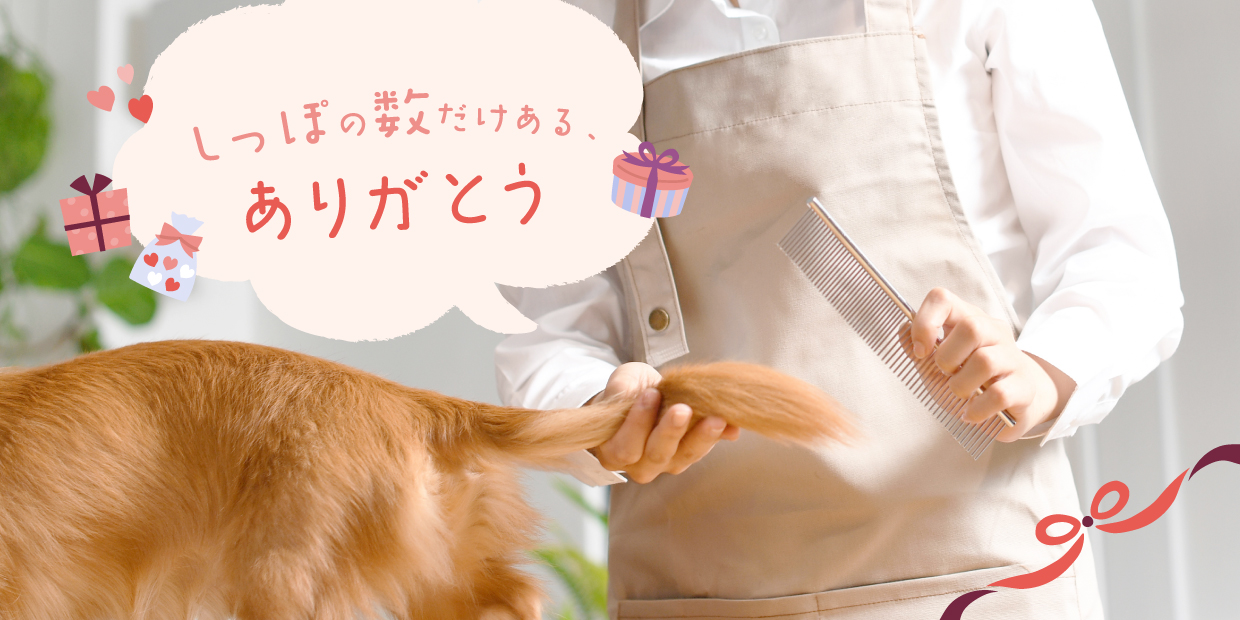 ���äݤο��������롢���꤬�Ȥ�