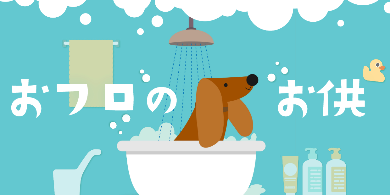 �ȥ�ߥ󥰥��ץ����	