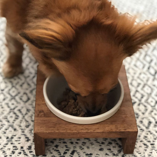 メメちゃん 漢方ごはん 木のごはん