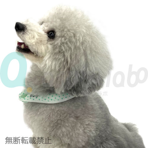 愛犬の熱中症対策 suo