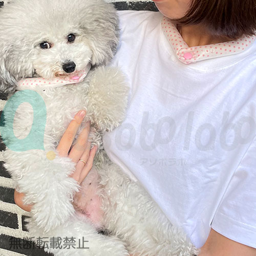 愛犬の熱中症対策 suo オーナー様とお揃い