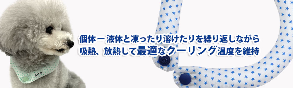 SUOボタン付き