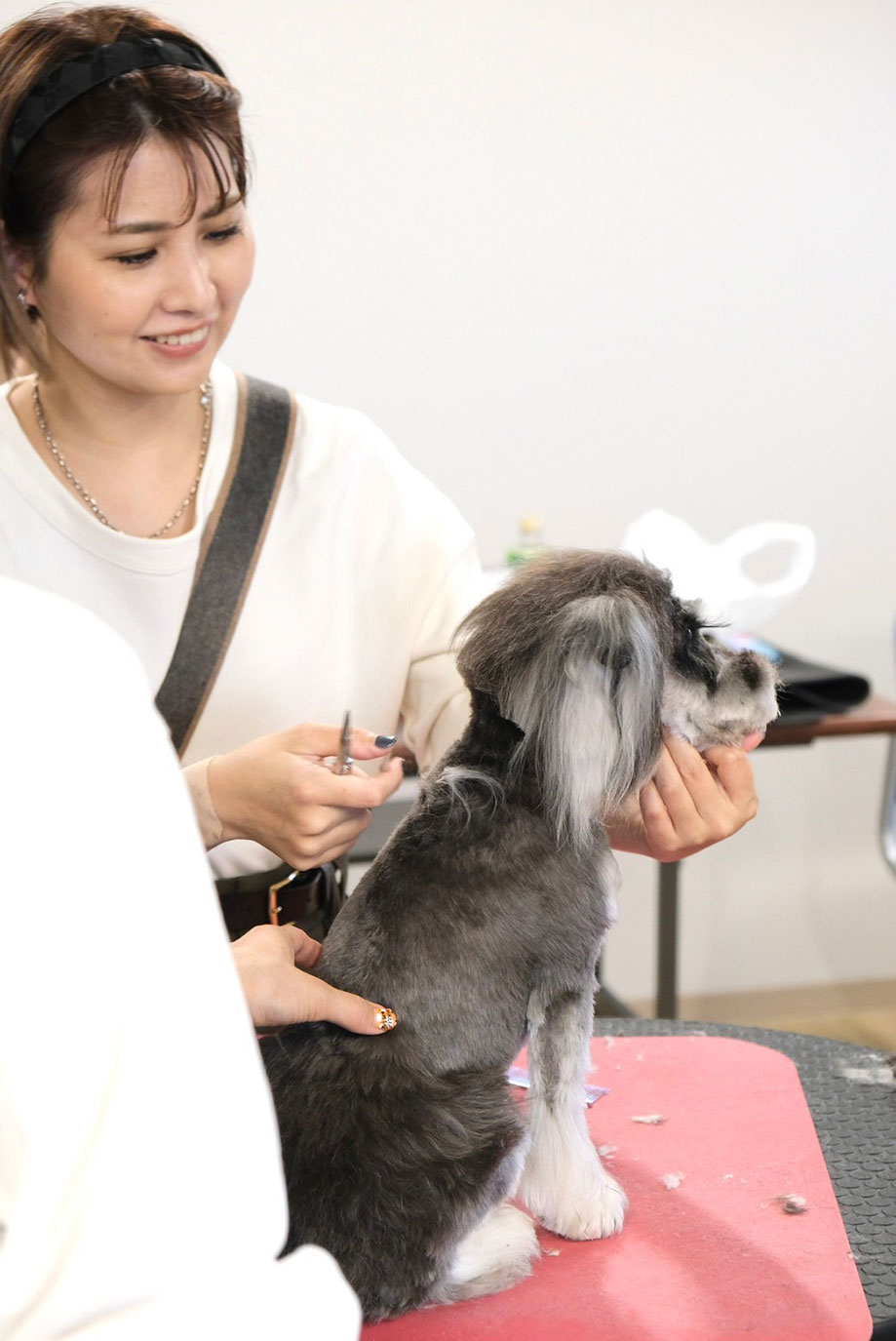 松平 合花氏