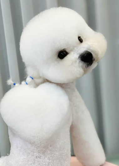 WOOYOUNG JEON 講師