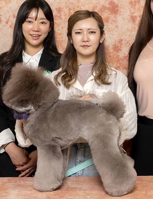 吉澤 茉莉 講師