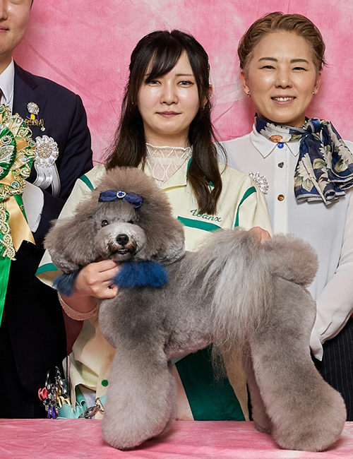 吉澤 茉莉 講師