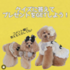 クイズプレゼント